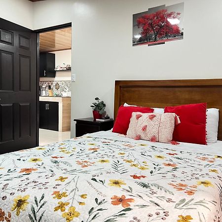 Apartamentos H Gonzalez #11#4 Alajuela Kültér fotó